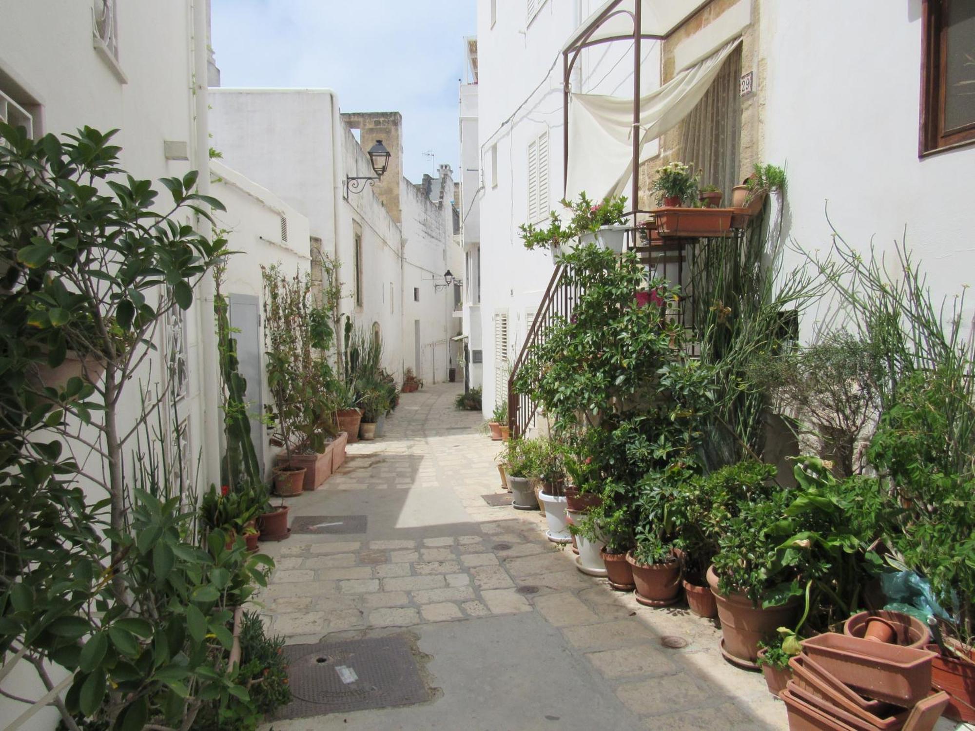 Vicolo Fiorito B&B Polignano a Mare Exterior photo